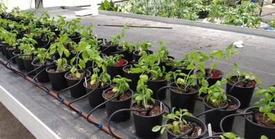 The project starts
